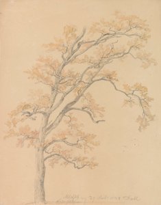 Carvalhos com folhas de outono, Milicz de Johan Christian Dahl