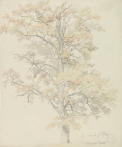 Carvalhos com folhas de outono, Milicz de Johan Christian Dahl