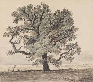 Pinheiro numa planície de Johan Christian Dahl
