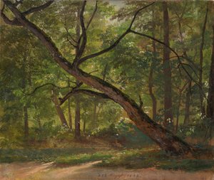 Lote no Grande Jardim perto de Dresden de Johan Christian Dahl