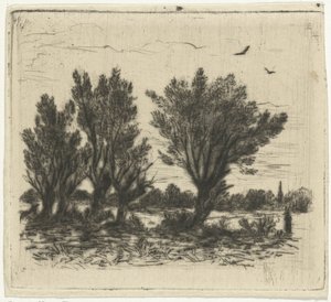 Fila do Salgueiro de Johan Frederik Croockewit