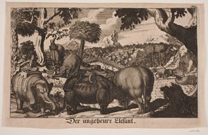 "O Grande Elefante"