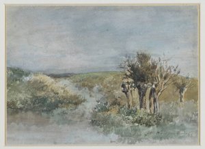 Paisagem com salgueiros de sondagem ao longo de uma vala