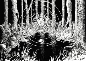 Ondulações da Floresta Mística de Johan Liewendahl