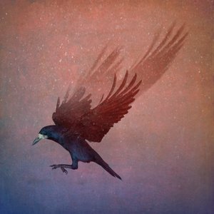 Bird Kingdom, 2018 (arte fotográfica) de Johan Lilja