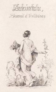 Dinamarquês: Colecionador de flores de Johan Lundbye