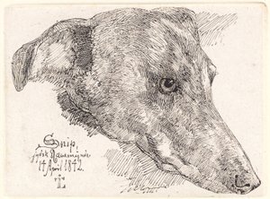 Dinamarquês: Hundehoved, Snip