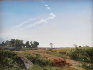 Paisagem da Zelândia. Campo aberto no Norte da Zelândia de Johan Lundbye