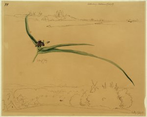Vista de Kalundborg e estudo de uma flor de três mastros de Johan Thomas Lundbye