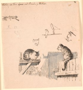 Os dois gatos. F.o. estudos de cabeças de gato, um pássaro, uma orelha de gato e trabalho com vigas. Ilustração para "Fábulas para Crianças" de Kaalund. Veja o comentário do catálogo de folhas. de Johan Thomas Lundbye