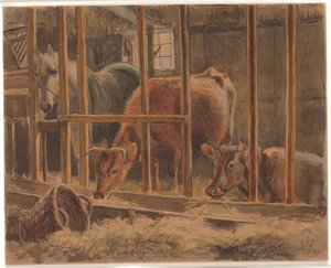 O interior de um estábulo com um cavalo branco e duas vacas