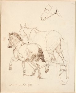 Um Nordbagge e um cavalo comum atrelados à mesma carruagem. F.o. Cabeça de cavalo de Johan Thomas Lundbye