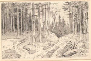 Estrada oca através de uma floresta de abetos de Johan Thomas Lundbye