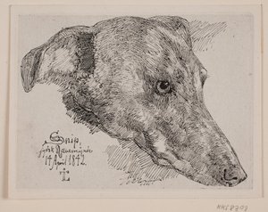 Hundehoved, Snip de Johan Thomas Lundbye
