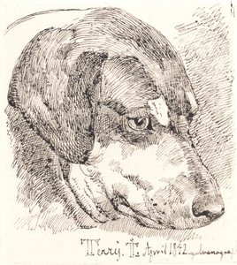 Hundehoved, Terry de Johan Thomas Lundbye