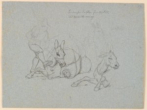 Burro deitado sendo chicoteado e chutado por um motorista. º. dois estudos de um burro deitado e de pé de Johan Thomas Lundbye