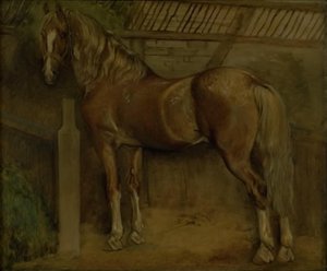 Garanhão de dezesseis anos da raça Knabstrup de Johan Thomas Lundbye
