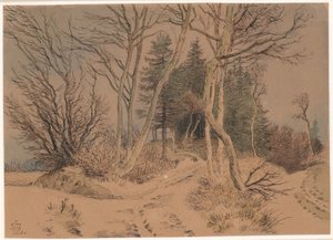 Estradas cobertas de neve entre abetos e árvores nuas de Johan Thomas Lundbye
