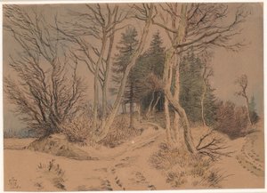 Estradas cobertas de neve entre abetos e árvores nuas de Johan Thomas Lundbye