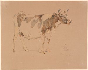 Vaca manchada de vermelho em pé
