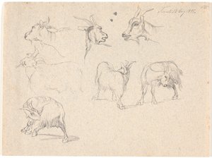 Estudos de cabras de Johan Thomas Lundbye