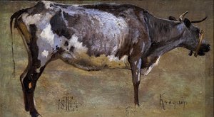 Estudo de uma vaca