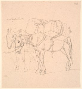 Dois cavalos com arnês de Johan Thomas Lundbye