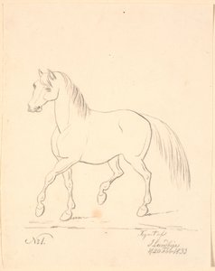 Cavalo trotando, virado para a esquerda