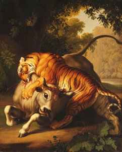 Um tigre atacando um touro, 1785 de Johan Wenzel Peter