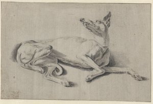 Galgo de galgo de reclinação de Johan le Ducq (possibly)