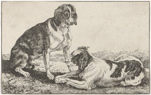 Dois cachorros de Johan le Ducq