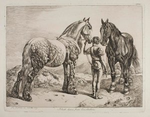 Cavalos Pretos de Lincolnshire de Johann Adam Klein