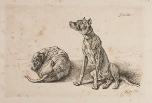 Guerrilha, Dois Cães de Johann Adam Klein