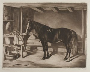 Cavalo num estábulo de Johann Adam Klein