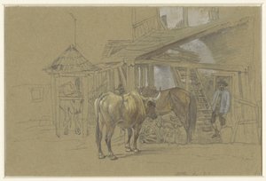 Bois e um cavalo no ferrador