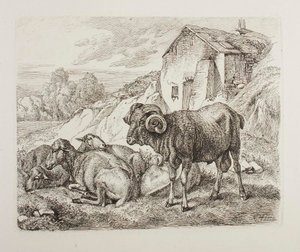 Carneiro e ovelha atrás de uma casa de Johann Adam Klein