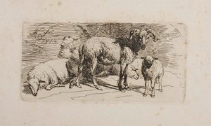Um carneiro, três ovelhas e um cordeiro de Johann Adam Klein