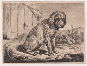 Cão sentado de Johann Adam Klein