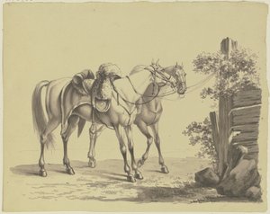 Dois cavalos militares selados, amarrados a um poste de Johann Adam Klein