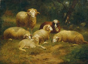 ovelha de Johann Baptist Hofner