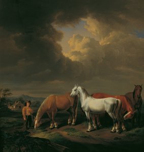 Cinco cavalos de fazenda de Johann Baptist Michael Dallinger von Dalling