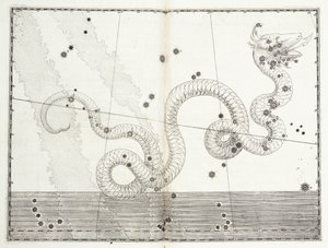 Constelação Serpens Caput e Serpens Cauda c.1603
