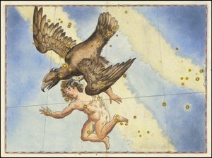Johann Bayer - Aquila de Johann Bayer