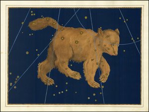 Johann Bayer, Ursa Maior de Johann Bayer