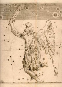 Uranometria (1661) mostrando a constelação Orion