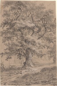 Um carvalho frondoso por um caminho de floresta de Johann Caspar Huber