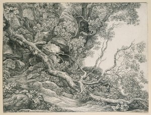 Árvores numa encosta rochosa de Johann Christian Reinhart