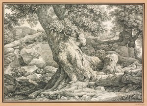  de Johann Christian Reinhart