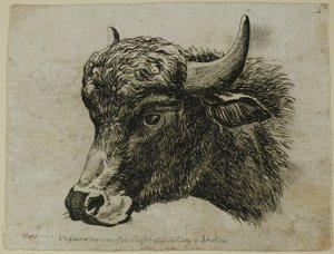 Cabeça de búfalo virada para a esquerda, de Die Zweite Thier Folge de Johann Christian Reinhart
