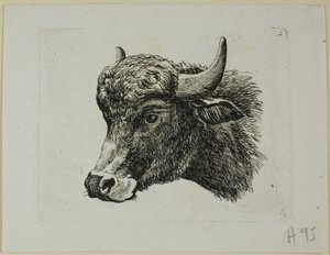 Cabeça de búfalo virada para a esquerda, de Die Zweite Thier Folge de Johann Christian Reinhart